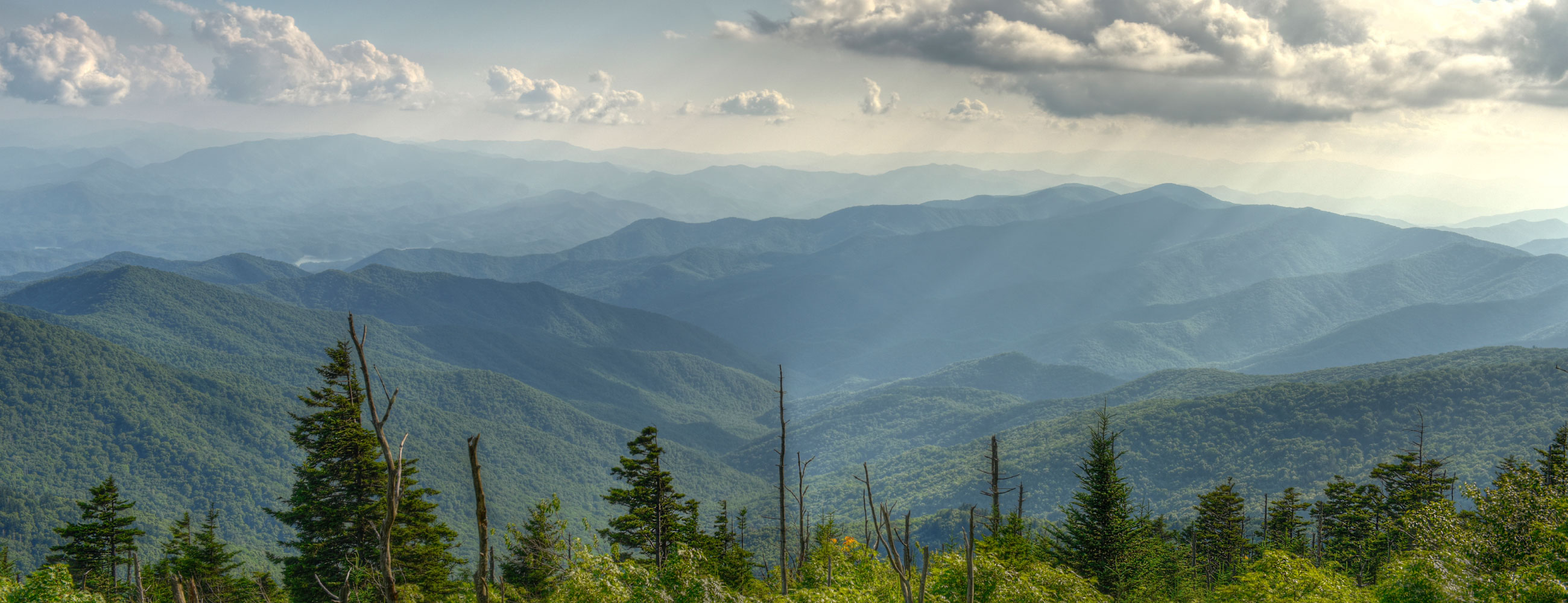 Jack Persson Jack Persson